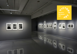 How does different lighting affect your art collection? How does different lighting affect your art collection?