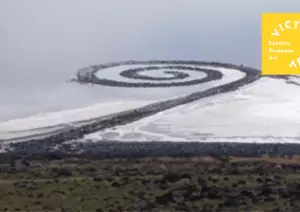 Art about environmental issues