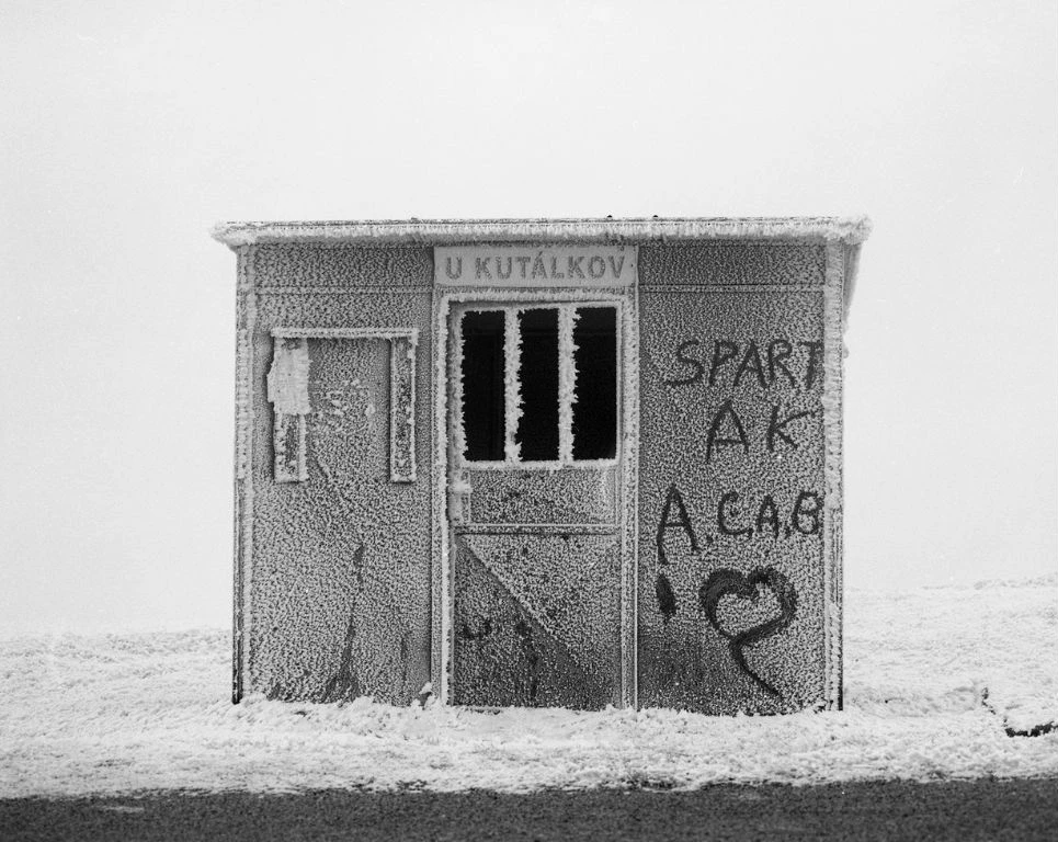 Lukas's painting linked to personal painting eshop page