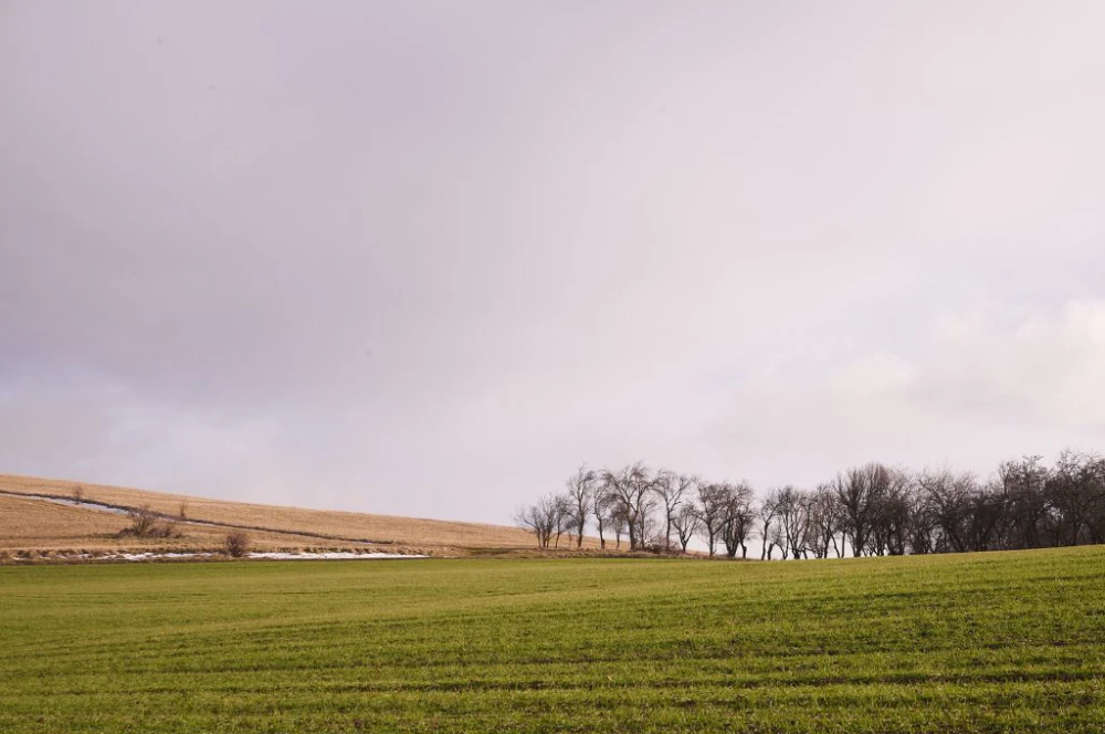 Lukas's painting linked to personal painting eshop page