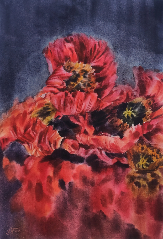 Scarlet poppies Watercolor on paper