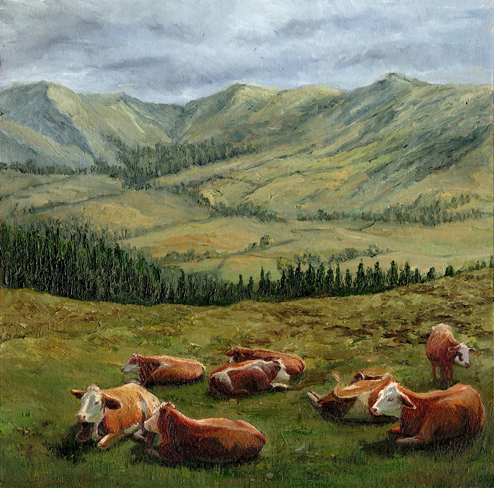 Cows resting in the mountains