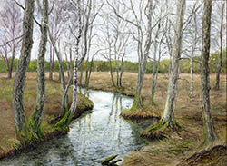 Spring Forest and Creek