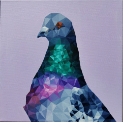 Pigeon Iii