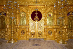 Orthodoxia Viii